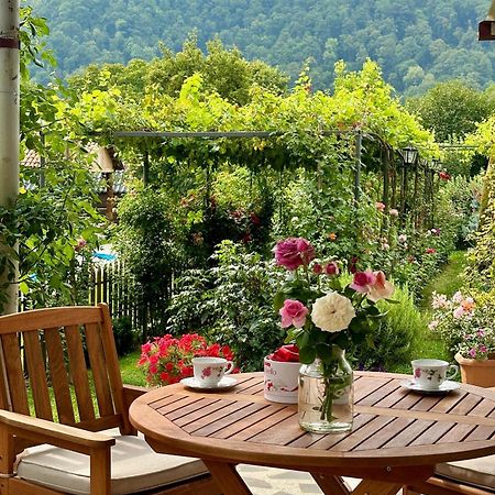 Guest House Gardenia & Wine Cellar 라고데키 외부 사진