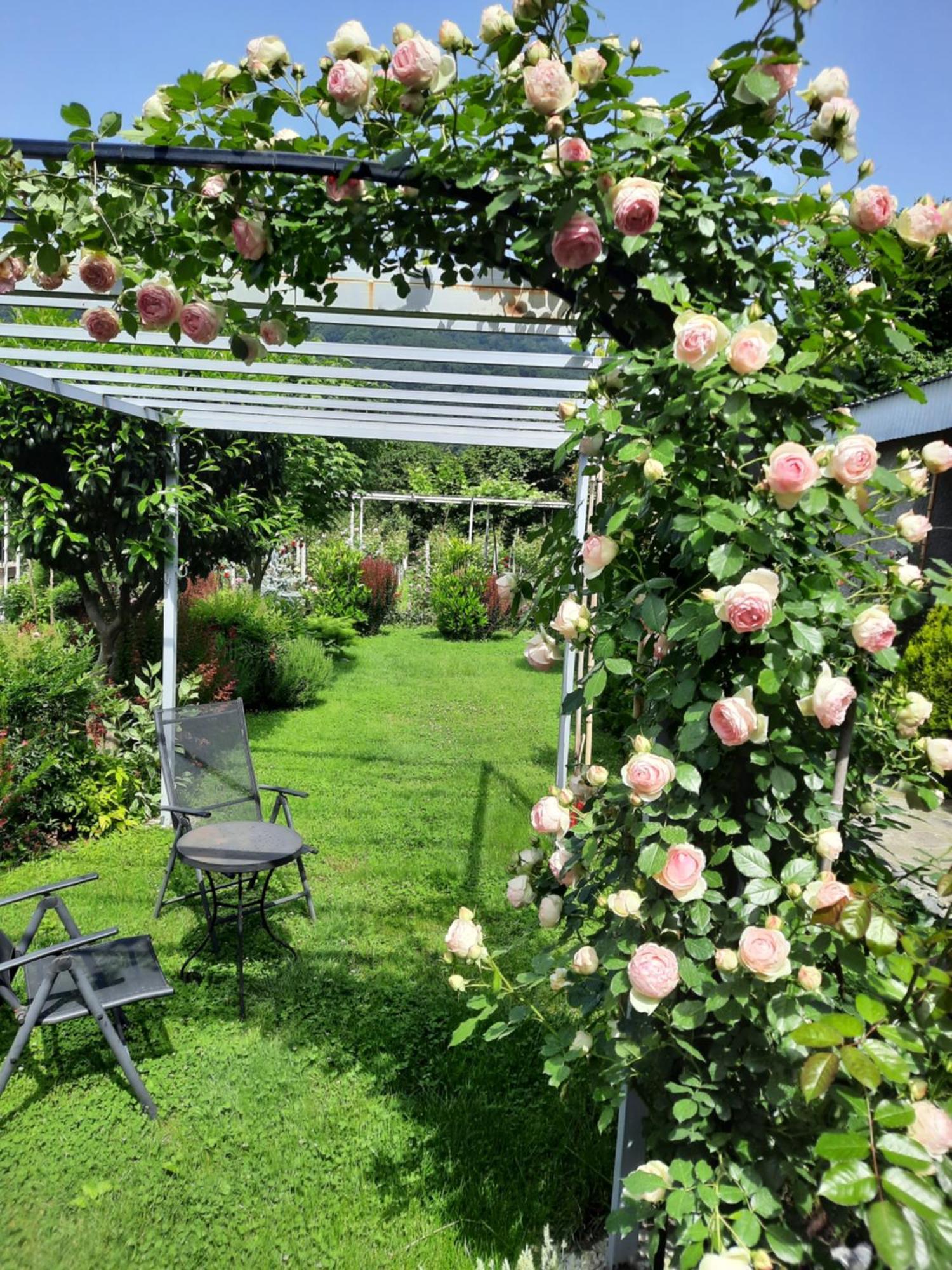 Guest House Gardenia & Wine Cellar 라고데키 외부 사진