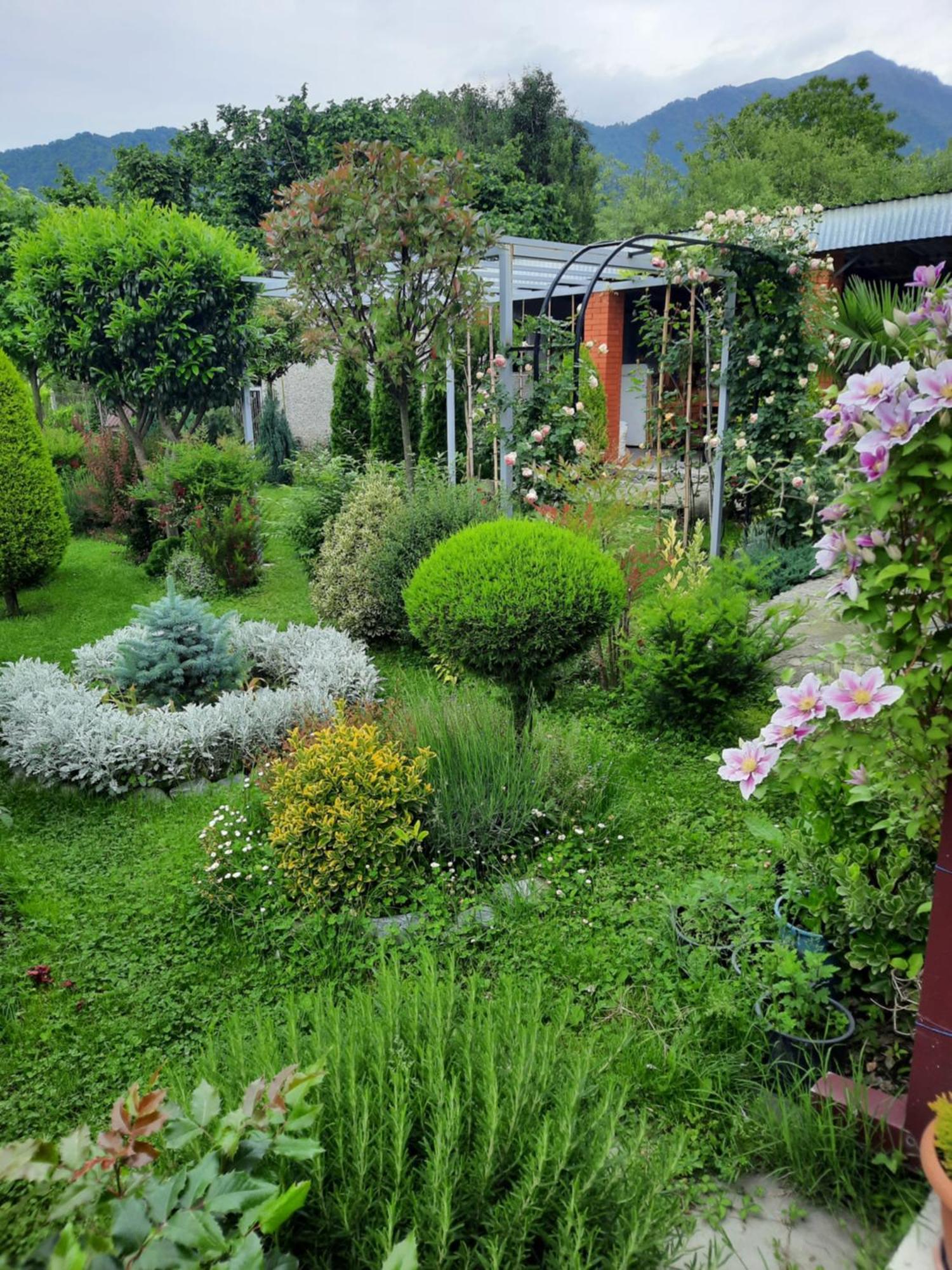 Guest House Gardenia & Wine Cellar 라고데키 외부 사진